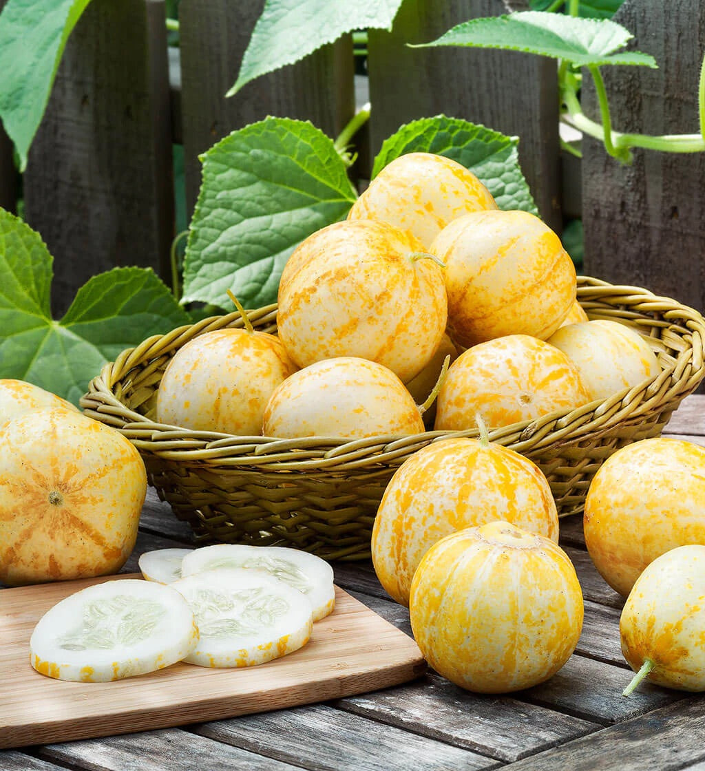 Lemon Cucumber