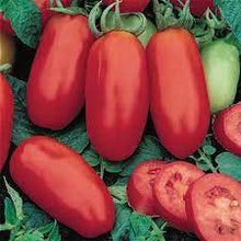 Load image into Gallery viewer, San Marzano Tomato
