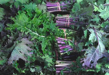 Load image into Gallery viewer, Red Russian Kale
