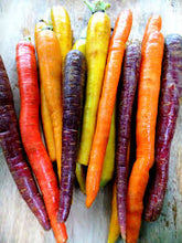 Load image into Gallery viewer, Rainbow Carrots
