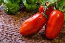 Load image into Gallery viewer, San Marzano Tomato
