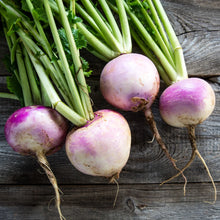 Load image into Gallery viewer, Purple Top White Globe Turnip
