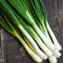 Load image into Gallery viewer, Tokyo Bunching Onions
