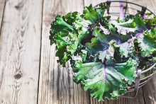 Load image into Gallery viewer, Red Russian Kale
