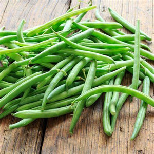 Contender Bean