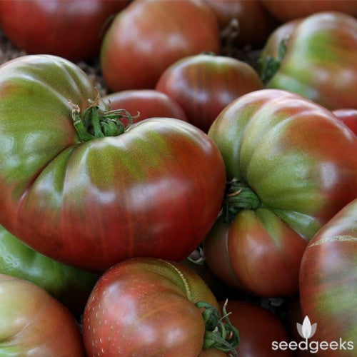 Cherokee Purple Tomato