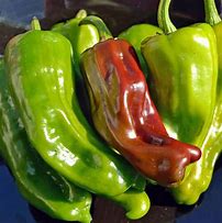 Sweet Pepperoncini Italian