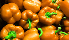 Load image into Gallery viewer, Sweet Horizon Orange Bell Pepper
