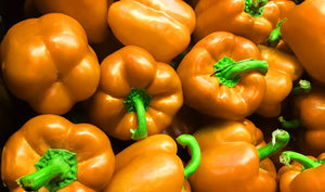Sweet Horizon Orange Bell Pepper